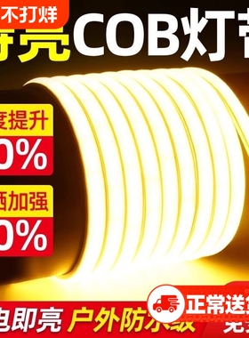 鼎雁led灯带灯条220v户超亮外防水客厅吊顶自粘软COB室内家用明装