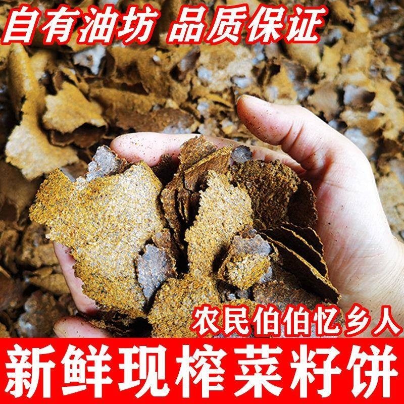 农家自榨正宗菜籽饼种菜发酵肥料打窝料有机肥油枯菜籽香饼粉