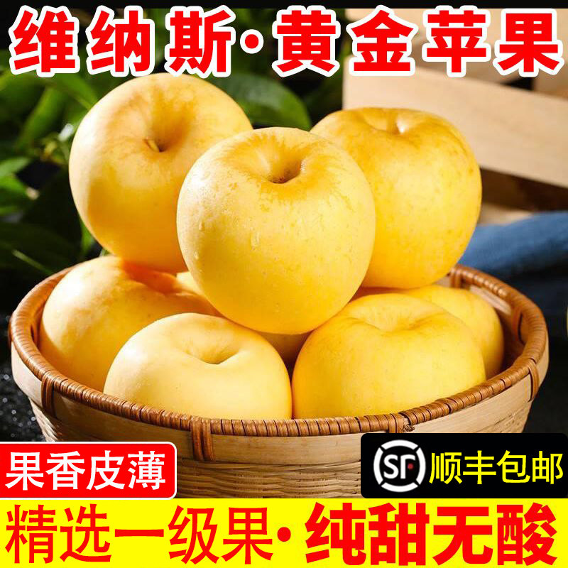 正宗维纳斯黄金苹果山东烟台当季新鲜水果奶油冰糖心脆甜顺丰包邮,水产肉类/新鲜蔬果/熟食,苹果,淘宝优惠券,粉丝福利购,淘宝优惠卷