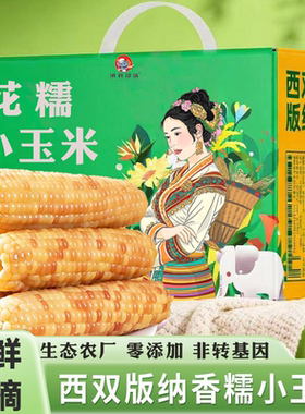 云南西双版纳香糯小玉米