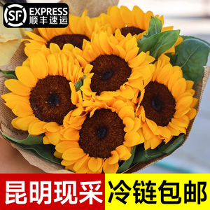 向日葵鲜花花束真花家用瓶插泰迪花材花期超长鲜切花云南基地直发