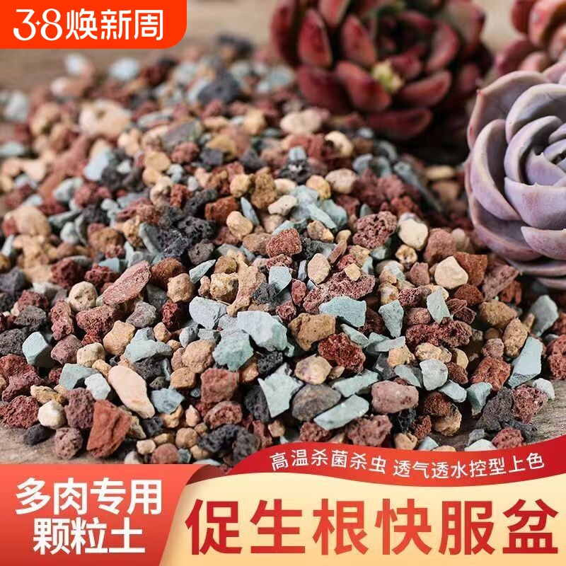 多肉专用颗粒土纯颗粒土多肉土营养土彩虹石养花小石子通用型肉肉