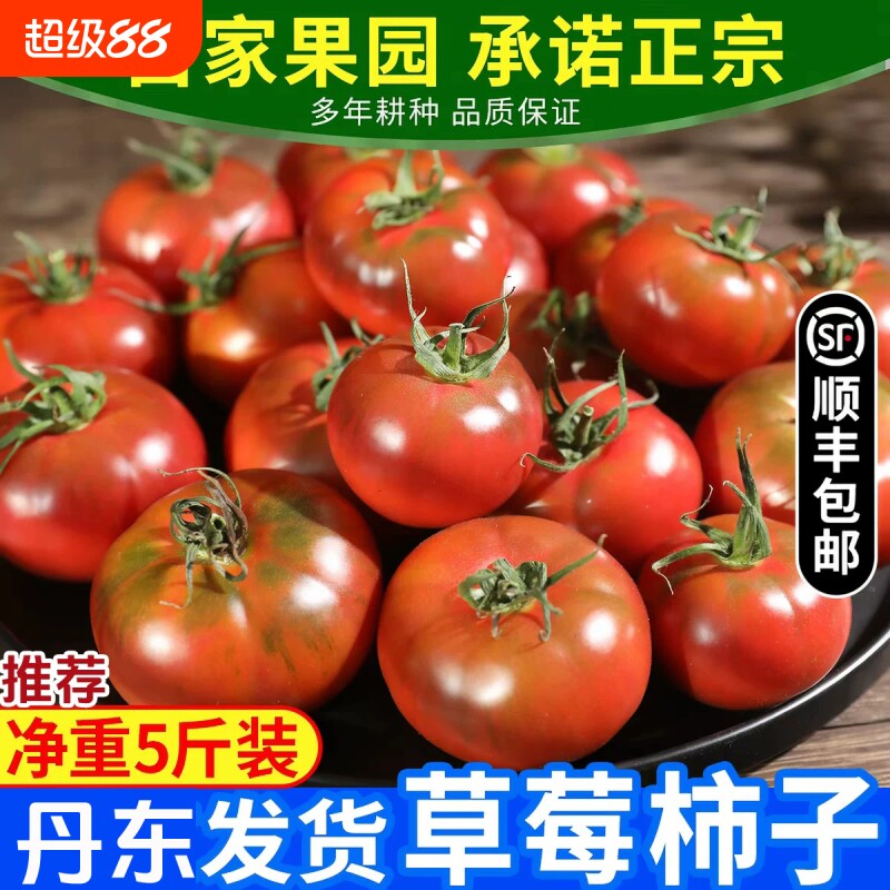 西红柿新鲜自然熟铁皮草莓柿子农家生吃绿腚水果番茄顺丰配送