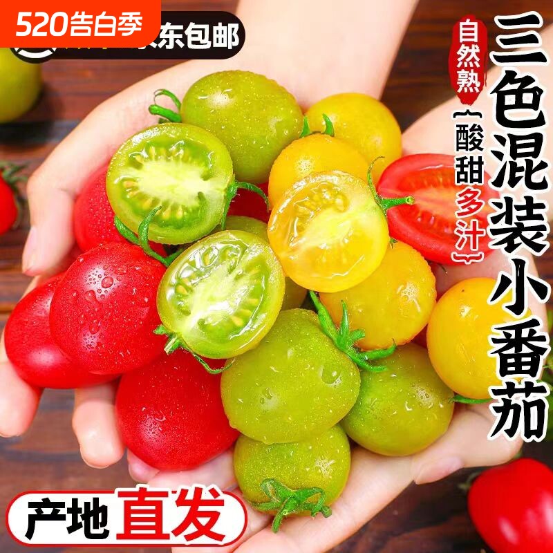 新鲜三色圣女果超甜小番茄西红柿千禧清甜水果生吃顺丰京东自然熟