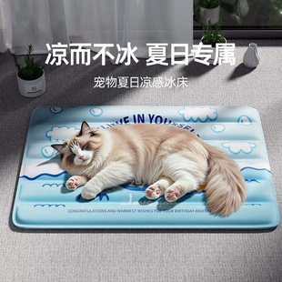 宠物冰垫猫咪狗狗凉席凉垫冰垫夏季降温神器防暑猫窝夏天垫子狗窝