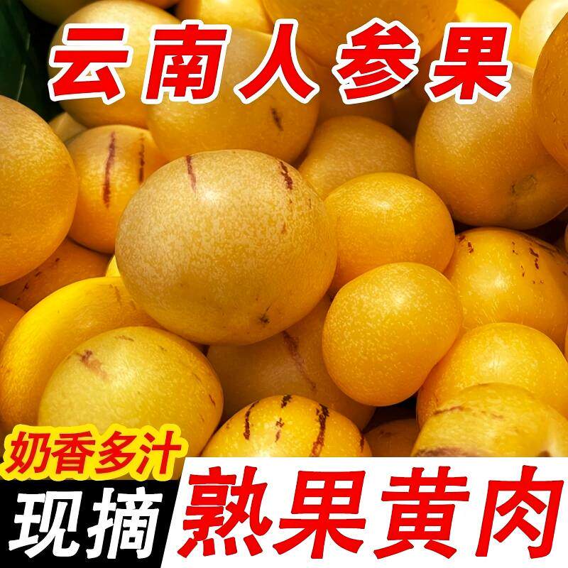 云南人参果水果5斤大果黄肉新鲜石林人叁果树上熟人生果圆果礼盒图片