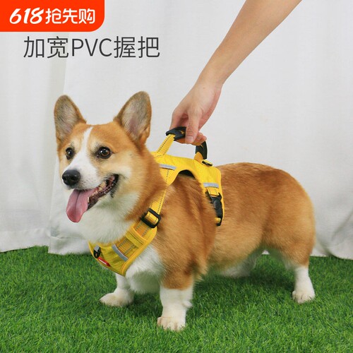 宠物胸抱婴袋狗狗遛狗绳