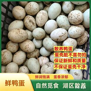鄱阳湖生鲜鸭蛋65g特大鲜鸭蛋农家散养土鸭蛋 新鲜生鸭蛋可批发