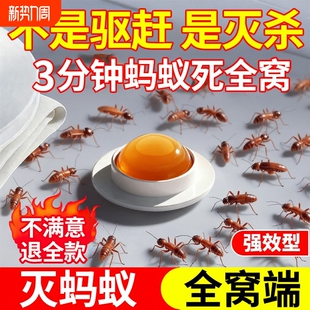 蚂蚁药家用全窝室内非无毒端旗舰店杀除蚁灭蚁饵专用杀虫剂呋虫胺