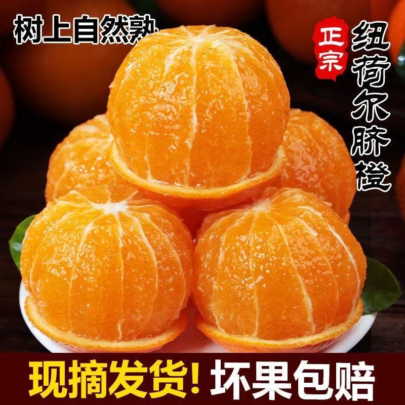 水果头茬脐橙子湖北赣南纽荷尔整箱当季新鲜手剥橙甜橙现摘皮薄