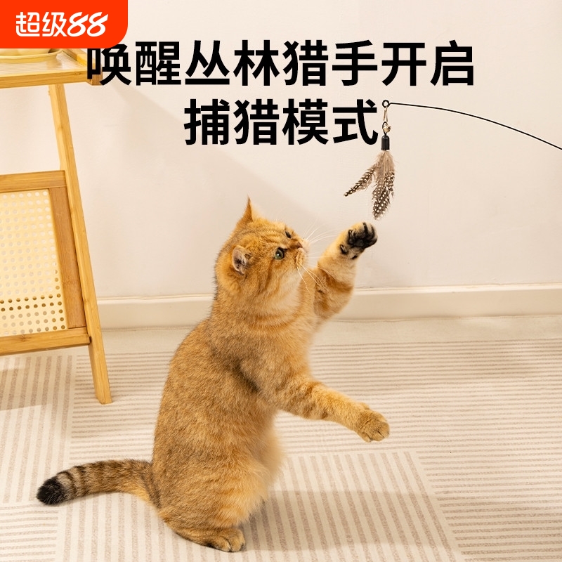 CFA逗猫棒赛级猫咪自嗨羽毛带铃铛玩具可替换头实木柄幼猫耐咬