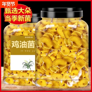 云南土特产鸡油菌新鲜野生黄金菇干货黄丝菌子榆黄菇香菇煲汤菇类
