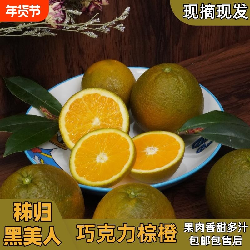橙子秭归黑美人巧克力棕橙应季多汁薄皮脐橙整箱澳橙一级年货节