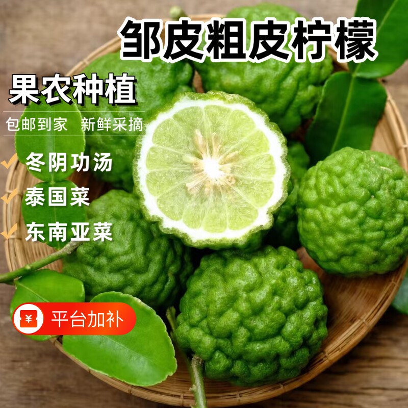新鲜皱皮柠檬粗皮柠檬丑果柠檬毛里橙泰国菜东南亚菜用马蜂橙包邮