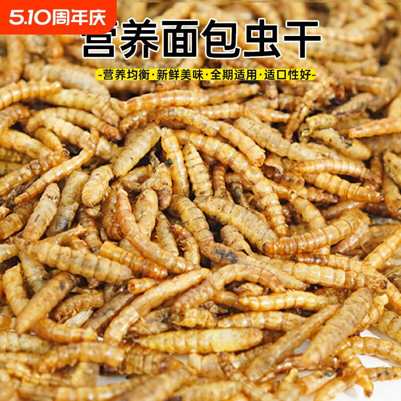 面包虫干守宫蜥蜴饲料黄粉虫喂鸟虎皮乌龟仓鼠龙鱼食龟鳖零食饵料