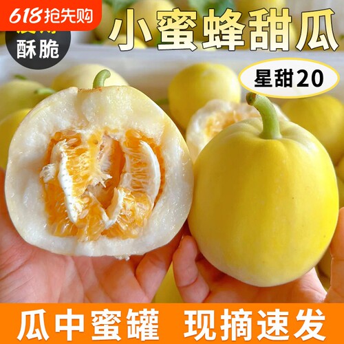 正宗山东早田脆甜瓜当季现摘