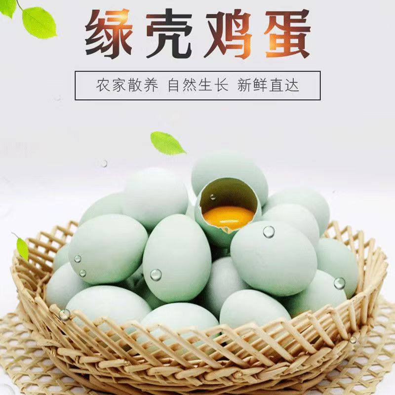 正宗新鲜宝宝孕妇蛋月子蛋散养乌鸡蛋农家绿壳鸡蛋柴鸡蛋多规格,水产肉类/新鲜蔬果/熟食,鸡蛋,淘宝优惠券,粉丝福利购,淘宝优惠卷