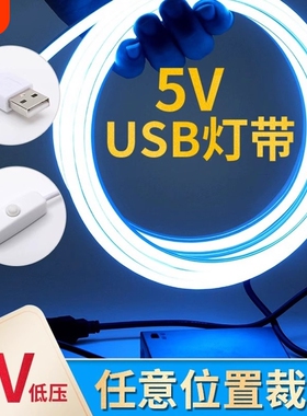 5V灯带led低压超亮usb接口硅胶软灯条照明红光防水遥控移动床头
