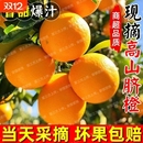 水果头茬脐橙子湖北赣南纽荷尔整箱当季 新鲜手剥橙甜橙现摘皮薄