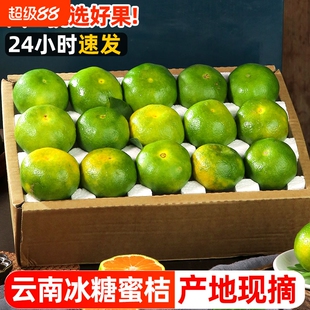 云南蜜橘新鲜无籽9斤青皮蜜桔应季早熟桔子水果橘子孕妇整箱包邮