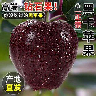 甘肃黑卡苹果黑钻新鲜水果当季 正宗冰糖平果红蛇粉面花牛孕妇整箱
