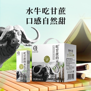 吃甘蔗 10盒4.0g蛋白儿童学生营养早餐牛奶水牛纯奶 水牛奶200ml