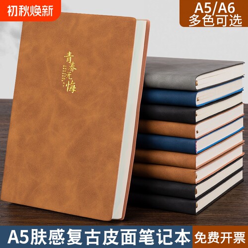 肤感烫金皮面笔记本会议记录本