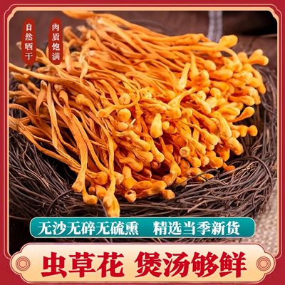 虫草花干货当季新鲜无熏硫100g营养菌菇炖鸡汤菌香浓郁口感脆嫩