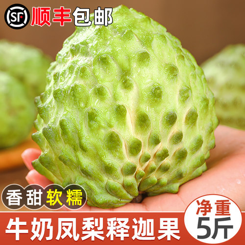 顺丰【凤梨释迦果】冰淇淋口感