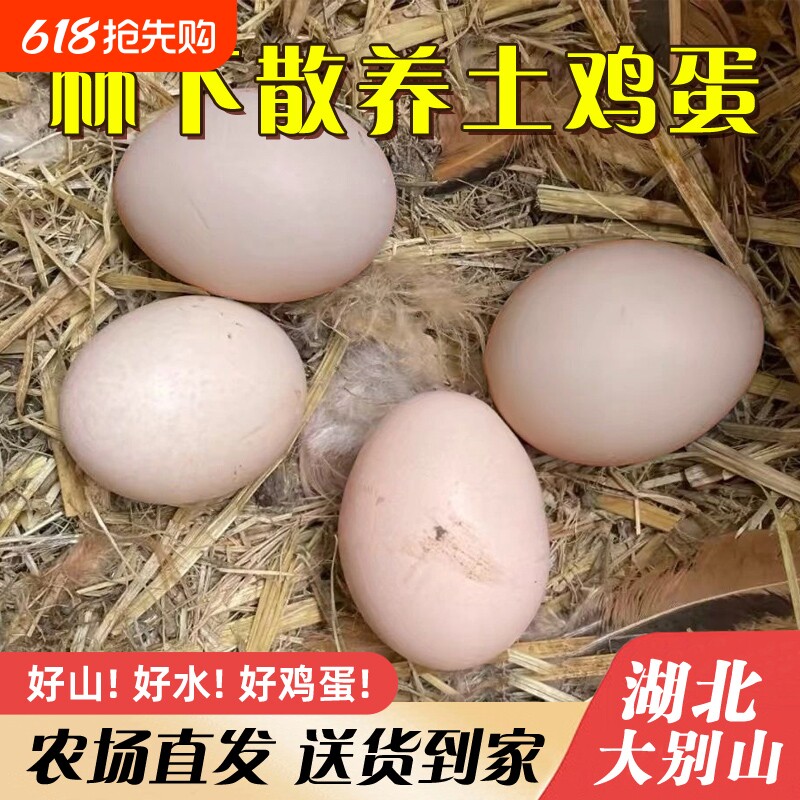 新鲜鸡蛋湖北农家散养土鸡蛋50枚柴鸡下虫草谷物鲜蛋现捡现发无菌