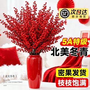 进口北美冬青红果真花鲜切花红豆鲜花室内水养植物花卉银柳年宵花