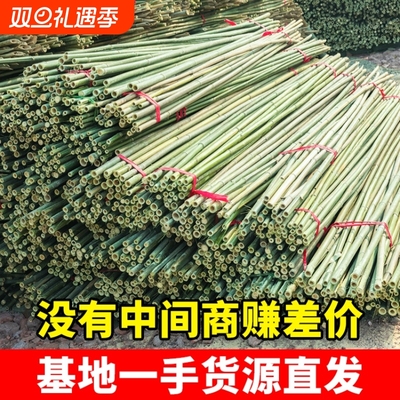 竹竿子搭架菜园豆角架黄瓜架西红柿蔬菜植物支架杆爬藤架旗杆栅栏