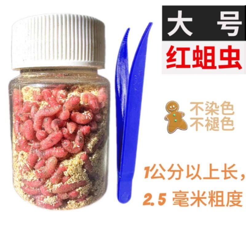 鲜活特大红蛆虫活饵红虫钓鱼用蛆虫大活虫饵活蛆溪流野钓白蛆鲫鱼