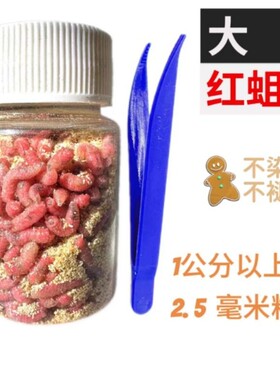 鲜活特大红蛆虫活饵红虫钓鱼用蛆虫大活虫饵活蛆溪流野钓白蛆鲫鱼