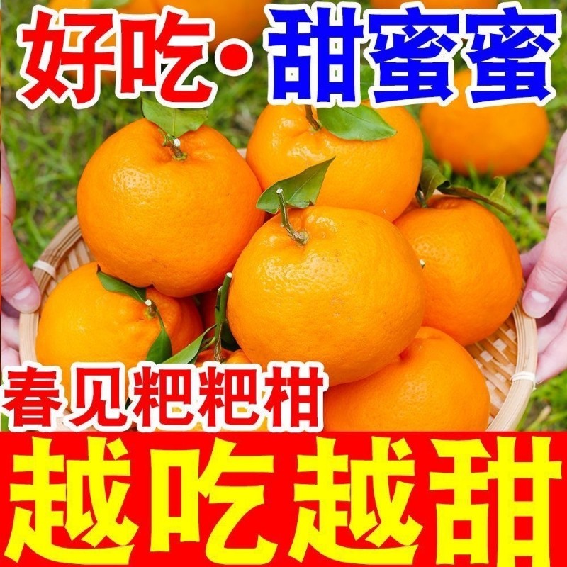 现货四川春见耙耙柑粑粑柑新鲜水果当季孕妇非丑八怪现摘年货节,水产肉类/新鲜蔬果/熟食,桔子,淘宝优惠券,粉丝福利购,淘宝优惠卷