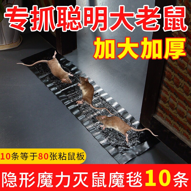 老鼠贴强力粘鼠板超强家用沾胶灭鼠捕鼠神器抓捉扑大老鼠加大加厚