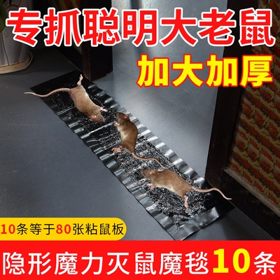 老鼠贴强力粘鼠板超强家用沾胶灭鼠捕鼠神器抓捉扑大老鼠加大加厚