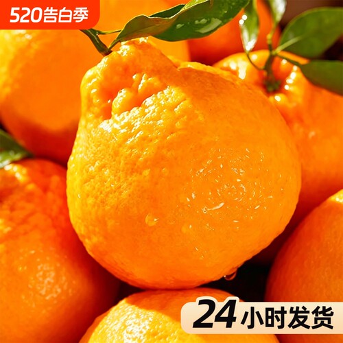 四川不知火丑橘整箱丑八怪当季新鲜孕妇水果耙耙丑柑手剥桔子包邮