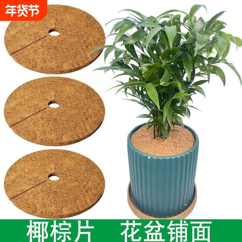 防漏透气花盆垫片天然保水壳棕丝椰铺面椰椰吊篮圆形植物,鲜花速递/花卉仿真/绿植园艺,其它园艺用品,淘宝优惠券,粉丝福利购,淘宝优惠卷
