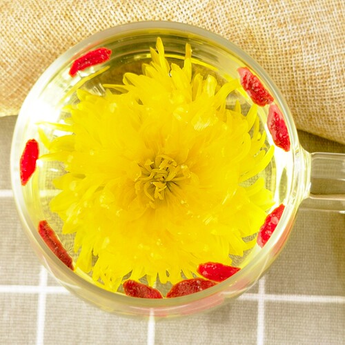 菊花茶金丝皇菊黄菊一朵一杯官方旗舰店菊花去火非特级金银花正品