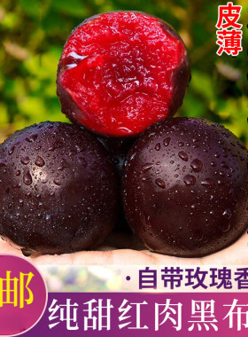 李子新鲜水果黑布林大李子