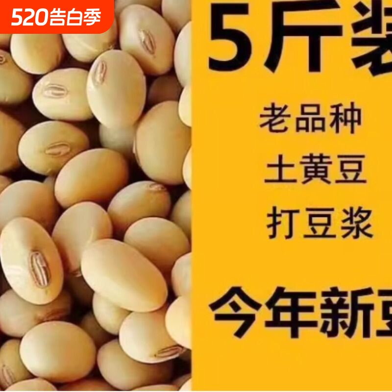 2025新货农家自种笨黄豆非转基因土黄豆老品种黄豆打豆浆豆散装