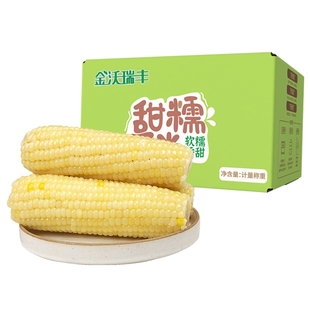 【非转基因】白糯玉米段180g*10根