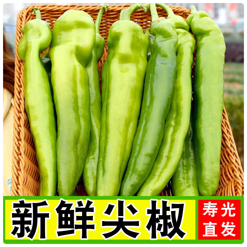 青辣椒脆辣青椒调味配菜黄皮尖椒羊角椒产地直发包邮新鲜微辣自种