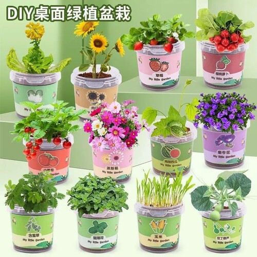 创意种植盆栽礼盒|超8000次加购