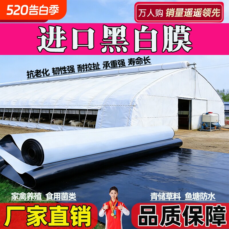 进口黑白膜抗老化防晒加厚大棚隔热降温保温反光食用菌膜养殖鱼塘