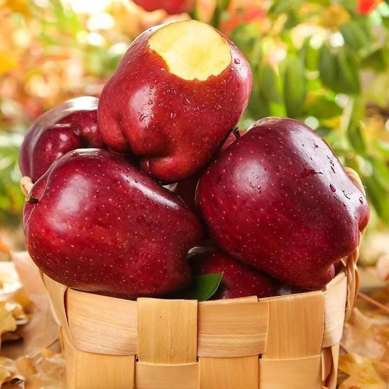 花牛苹果蛇果好吃应季水果两吃脆粉甜新鲜健康宝宝辅食发货不打蜡