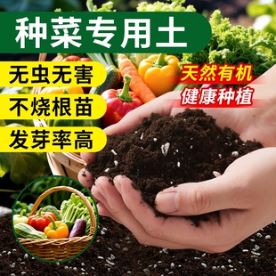 种植蔬菜营养土种菜专用土阳台育苗有机肥料果蔬泥土壤盆栽种菜土