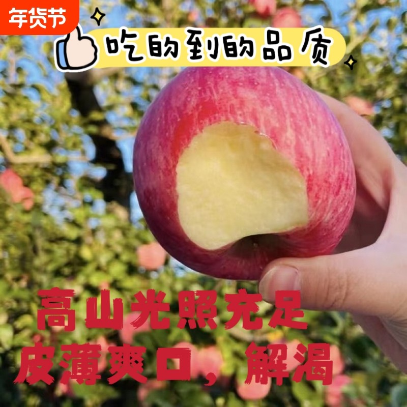 正宗甘肃静宁红富士苹果当季现摘脆甜多汁整箱新鲜水果包邮年货节,水产肉类/新鲜蔬果/熟食,苹果,淘宝优惠券,粉丝福利购,淘宝优惠卷