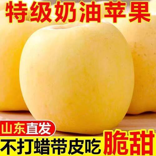 山东烟台正宗黄金奶油富士苹果新鲜脆甜黄苹果水果整箱